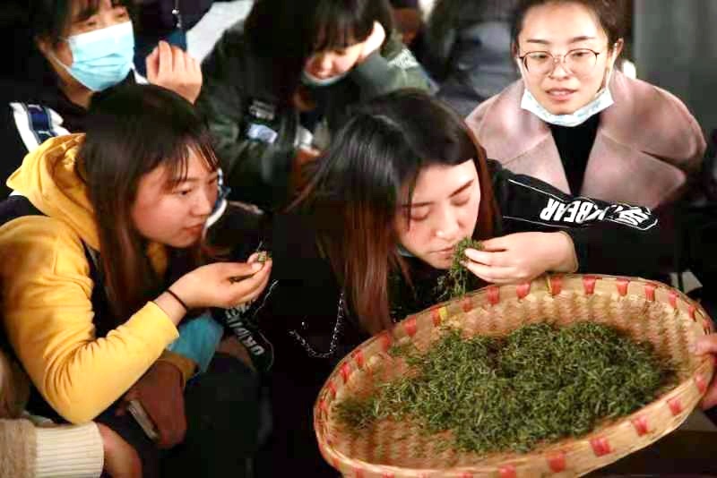 学习茶艺文化感受茶道魅力她们这样欢庆“三八”妇女节(图1)