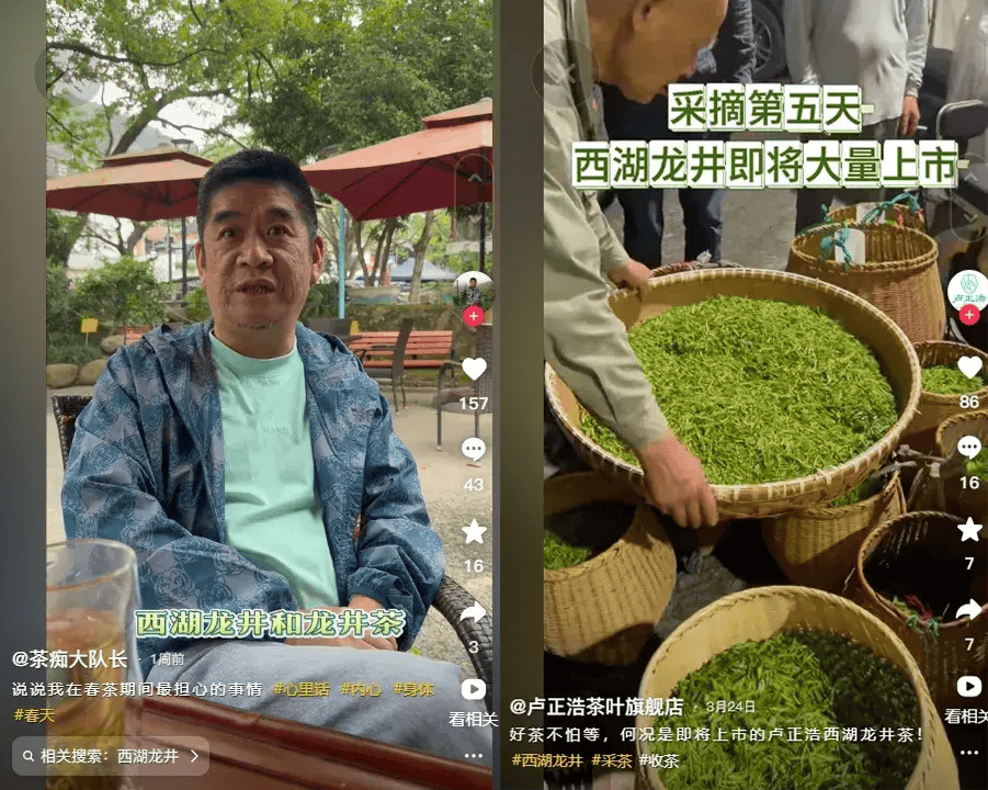 顶级茶艺还得看她(图8)