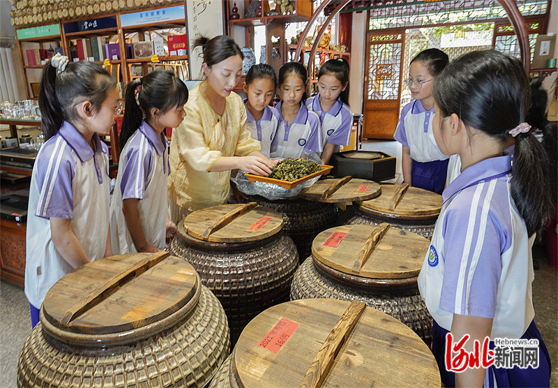 河北遵化：学茶艺迎接国际茶日(图1)